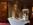 Hampshire Court venue decor