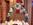Hampshire Court chaircovers
