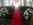Audleys Wood chaircovers