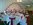 Audleys Wood balloon decor