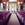 Audleys Wood aisle runner