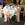 wedding chaircovers