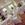 Sandford Springs wedding decor
