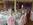 Sandford Springs wedding decor