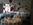 holiday inn basingstoke wedding