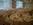 holiday inn basingstoke wedding