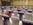 Apollo Hotel Basingstoke wedding