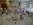 highfield park wedding