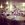 sherfield oaks wedding