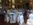 sherfield oaks wedding