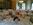 elvetham hotel wedding